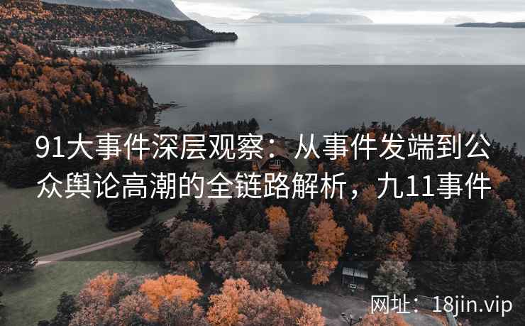 91大事件深层观察：从事件发端到公众舆论高潮的全链路解析，九11事件