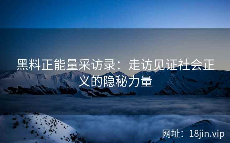 黑料正能量采访录：走访见证社会正义的隐秘力量