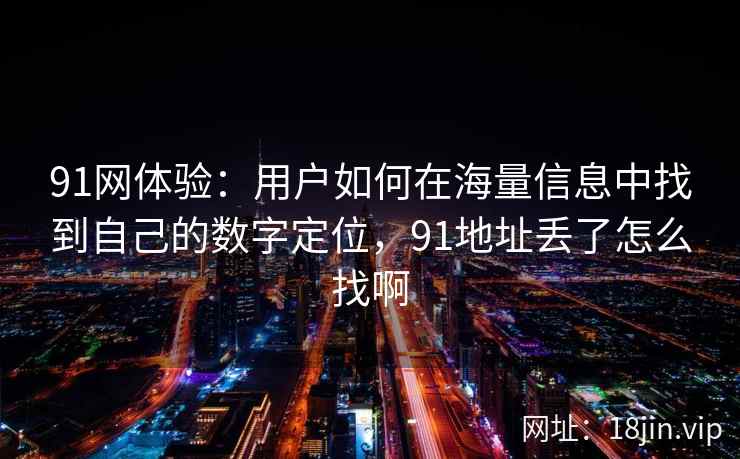 91网体验：用户如何在海量信息中找到自己的数字定位，91地址丢了怎么找啊