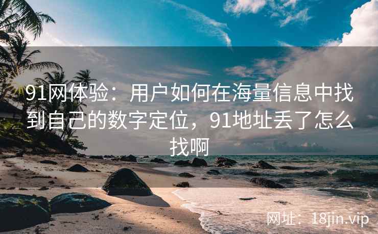 91网体验：用户如何在海量信息中找到自己的数字定位，91地址丢了怎么找啊