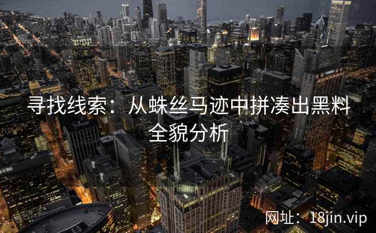 寻找线索：从蛛丝马迹中拼凑出黑料全貌分析