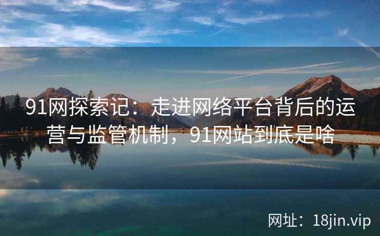 91网探索记：走进网络平台背后的运营与监管机制，91网站到底是啥