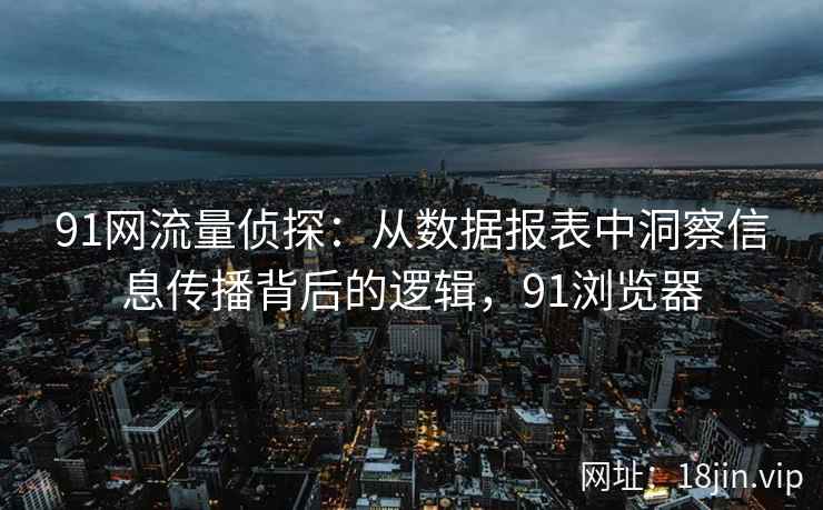 91网流量侦探：从数据报表中洞察信息传播背后的逻辑，91浏览器