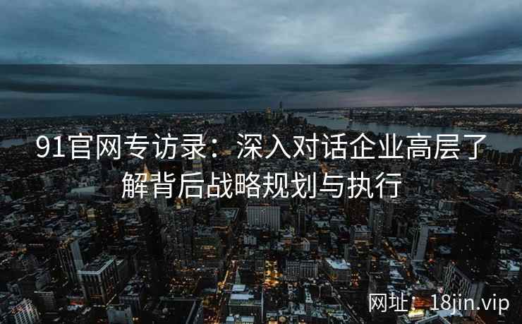 91官网专访录：深入对话企业高层了解背后战略规划与执行