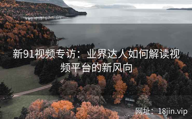 新91视频专访:业界达人如何解读视频平台的新风向 新91视频专访:业界达人如何解读视频平台的新风向