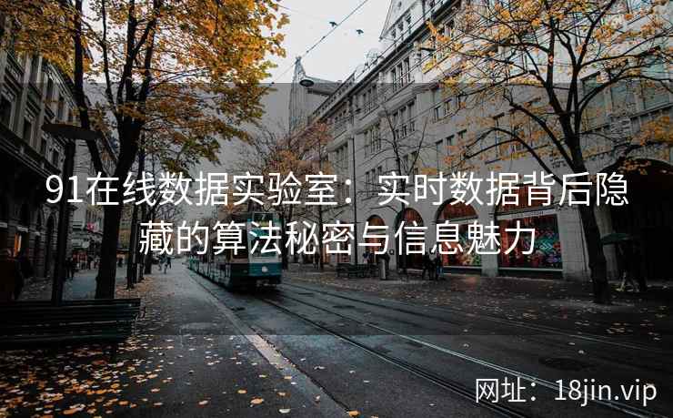 91在线数据实验室：实时数据背后隐藏的算法秘密与信息魅力
