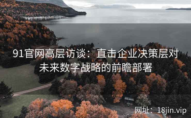 91官网高层访谈：直击企业决策层对未来数字战略的前瞻部署