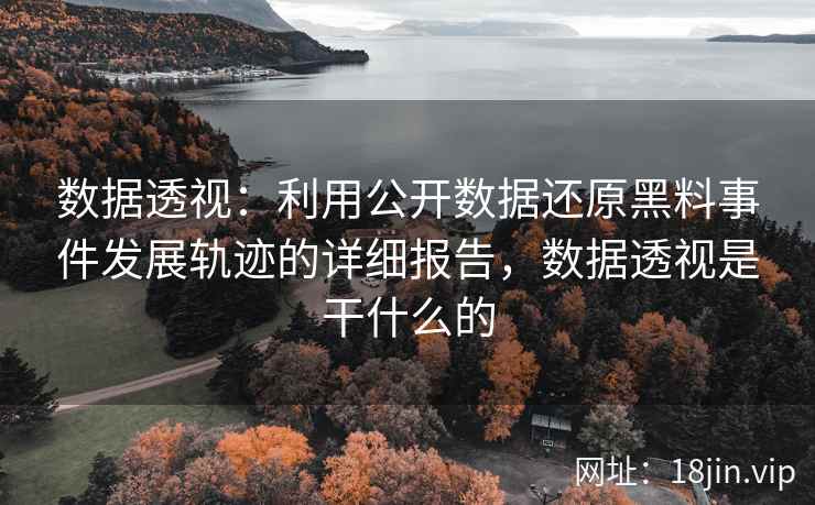 数据透视：利用公开数据还原黑料事件发展轨迹的详细报告，数据透视是干什么的