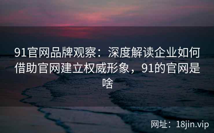 91官网品牌观察：深度解读企业如何借助官网建立权威形象，91的官网是啥